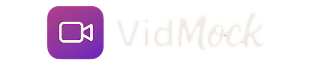 VidMock Logo